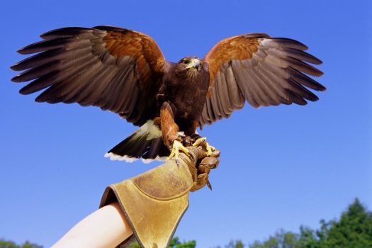 Gleneagles Hotel Perthshire In Scotland Greatdays Uk Incoming