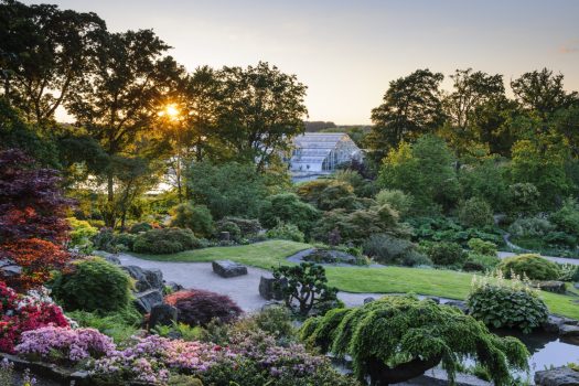 View from the Rock Garden towards the Glasshouse in Spring at RHS Garden Wisley ©RHS