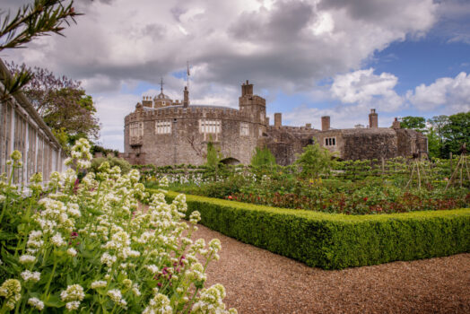 Walmer Castle, Foliage, Flowers, Gardens